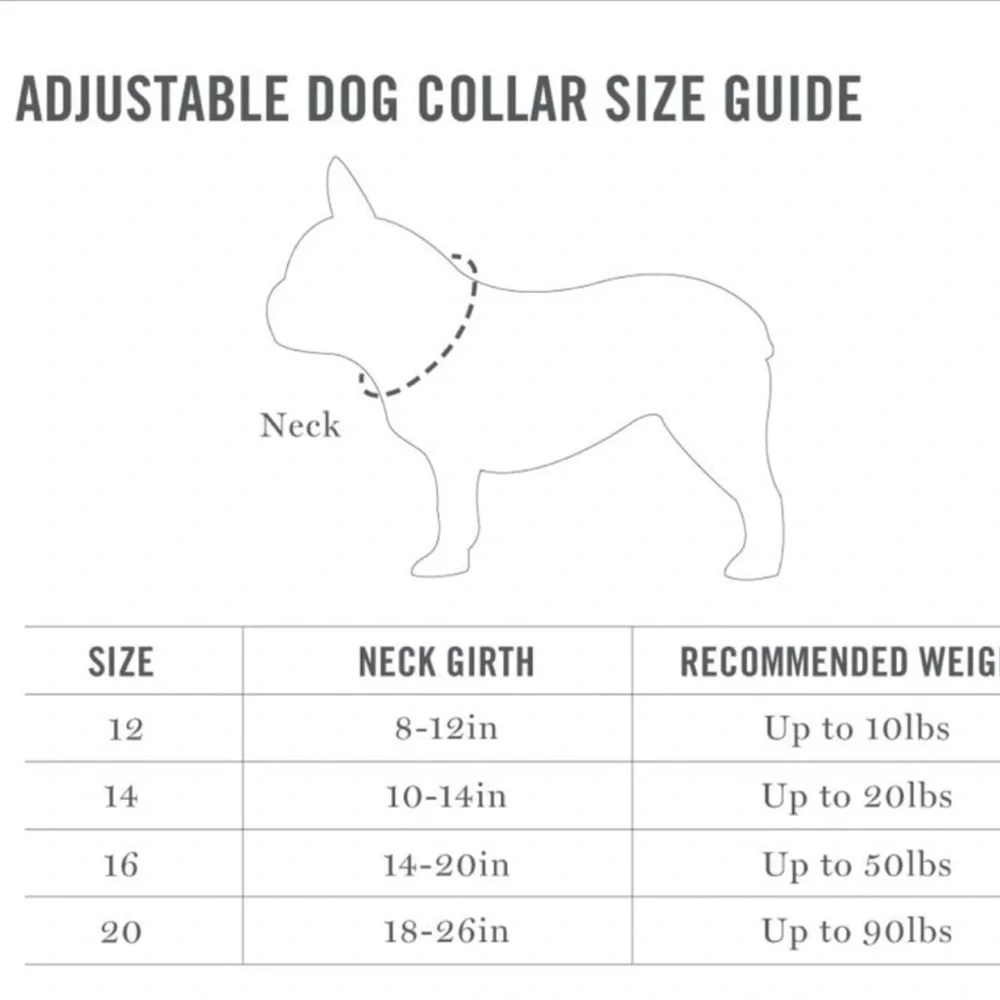 Martha Stewart Adjustable Nylon Dog Collar Color Dress Coral Size 14/S